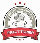 Luma Institute
